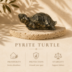Dhan Raksha Pyrite Tortoise