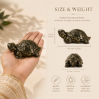 Dhan Raksha Pyrite Tortoise