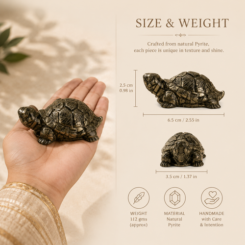 Dhan Raksha Pyrite Tortoise