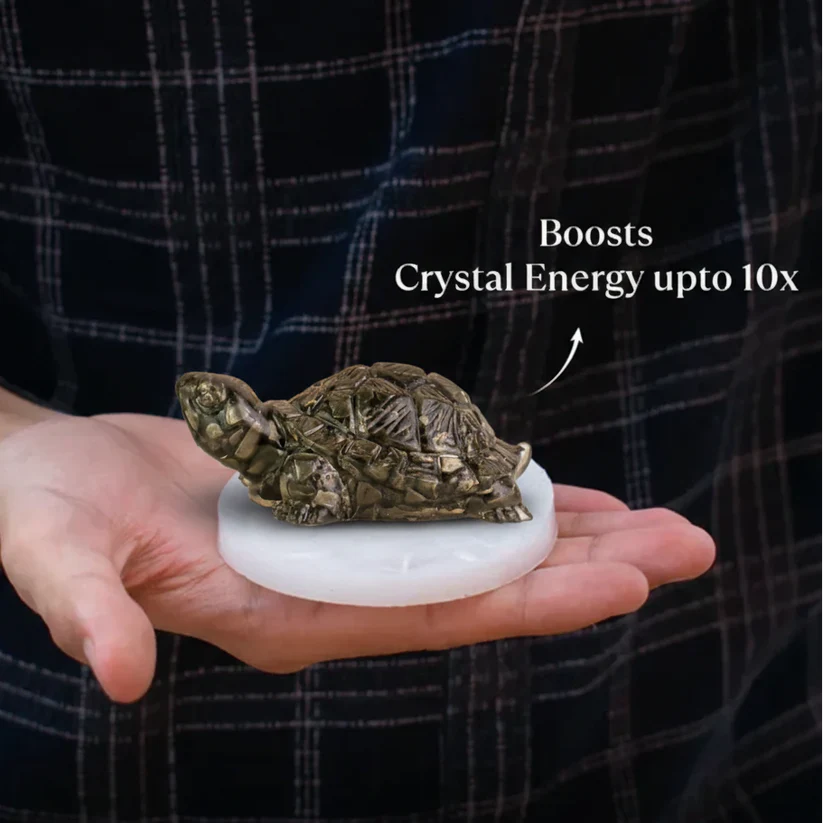 Dhan Raksha Pyrite Tortoise