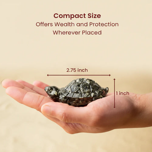 Dhan Raksha Pyrite Tortoise